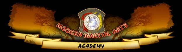 Modern Martial Arts Academy